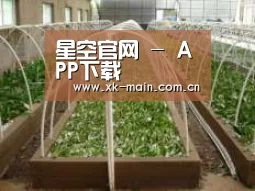 环境展示五