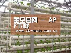 环境展示六