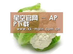 产品名称九