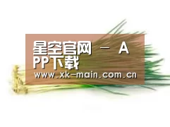 产品名称二