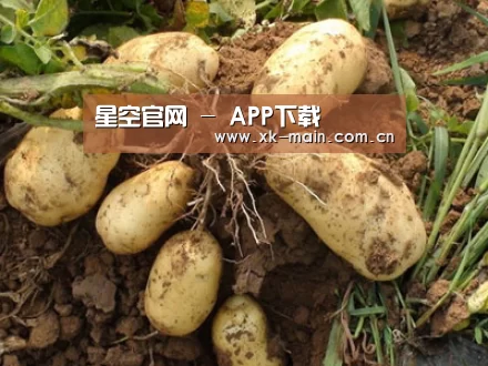 种植基地六