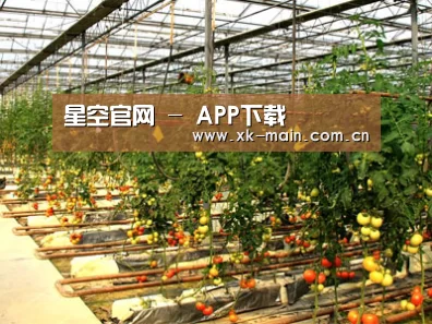 种植基地二