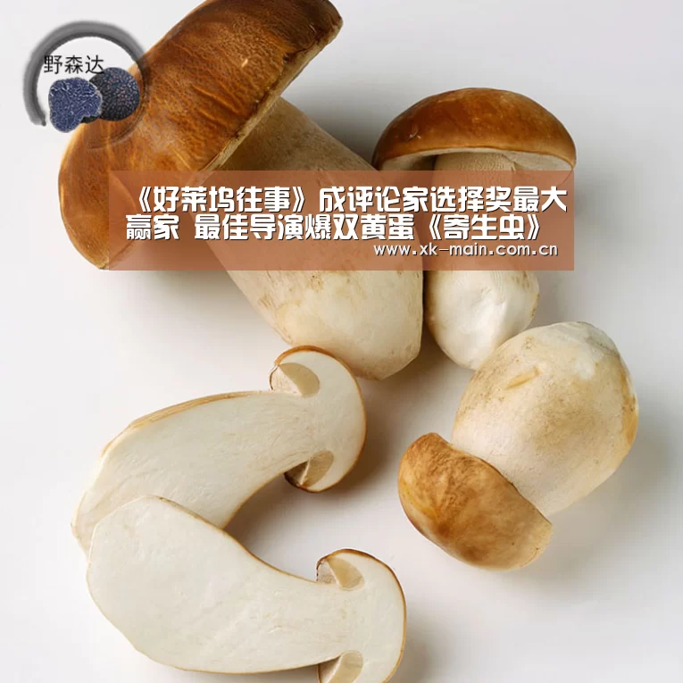 《好莱坞往事》成评论家选择奖最大赢家 最佳导演爆双黄蛋《寄生虫》和《1917》|星空体育app部门(图4) 星空体育app公司