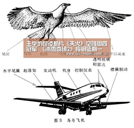 王学圻昆凌新片《天火》空降周四冠军 《冰雪奇缘2》秘钥延期一个月|星空体育app(图3) 星空体育app