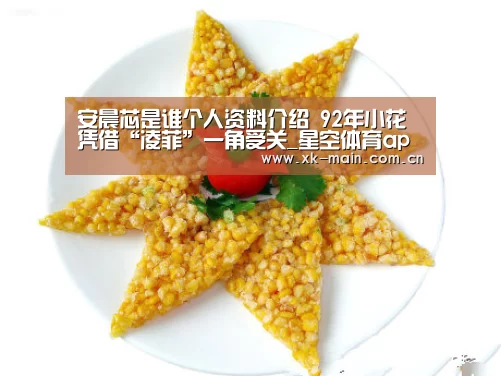 星空体育app团队
