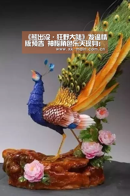 星空体育app团队