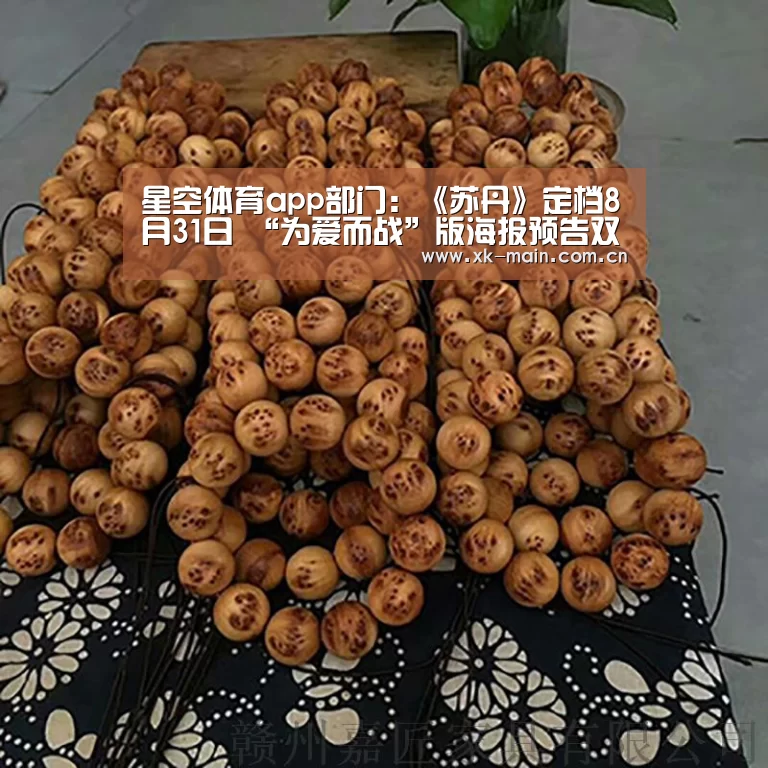 星空体育app团队