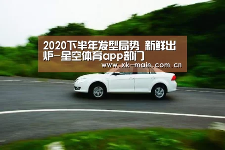 2020下半年发型局势 新鲜出炉-星空体育app部门(图1) 星空体育app团队